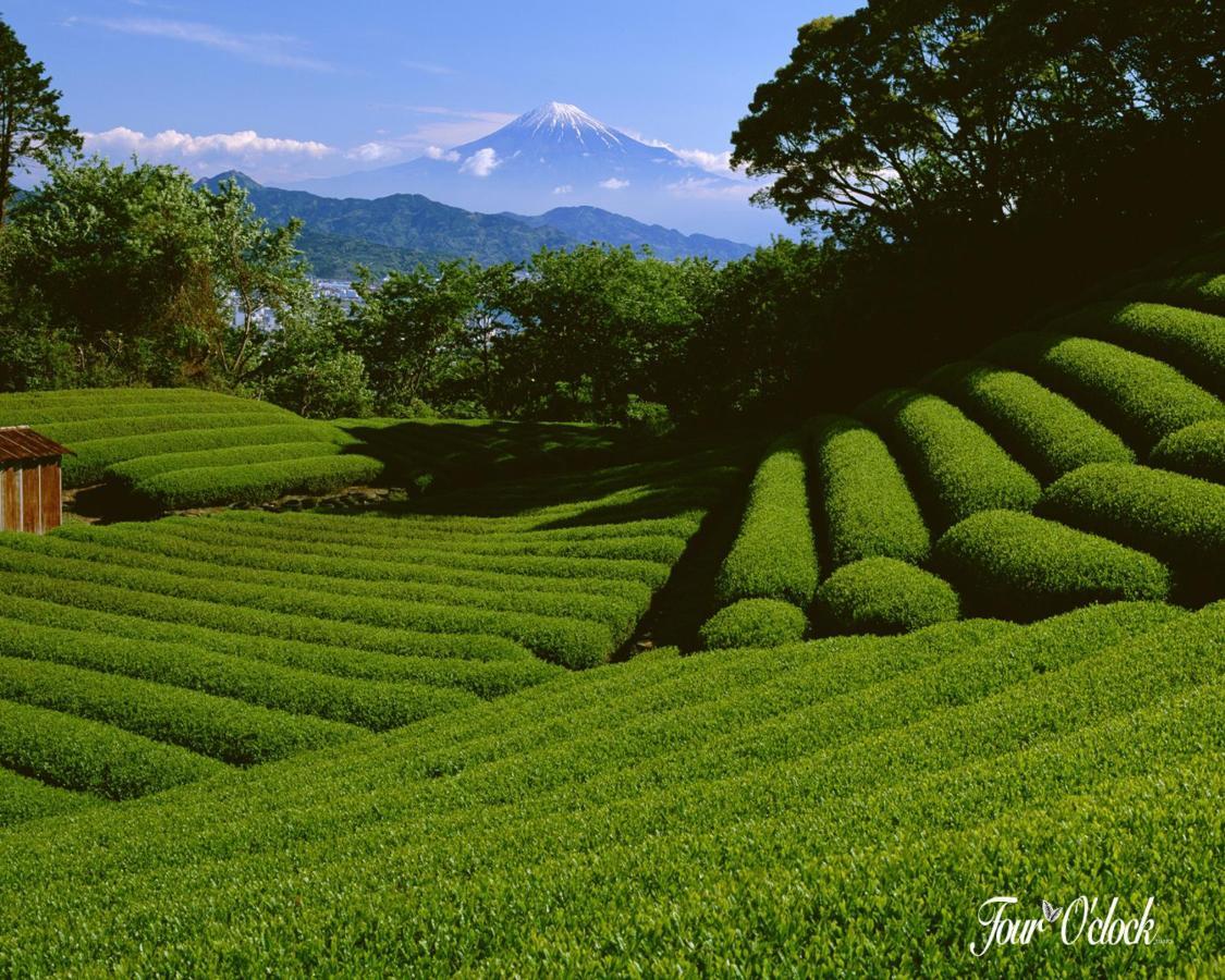 Hotel Emerald Inn Munnar Exterior foto